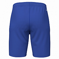 MASTER BERMUDA ROYAL-Pánské tenisové šortky