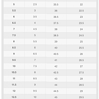 Nike Air Winflo 9-Dámské běžecké boty